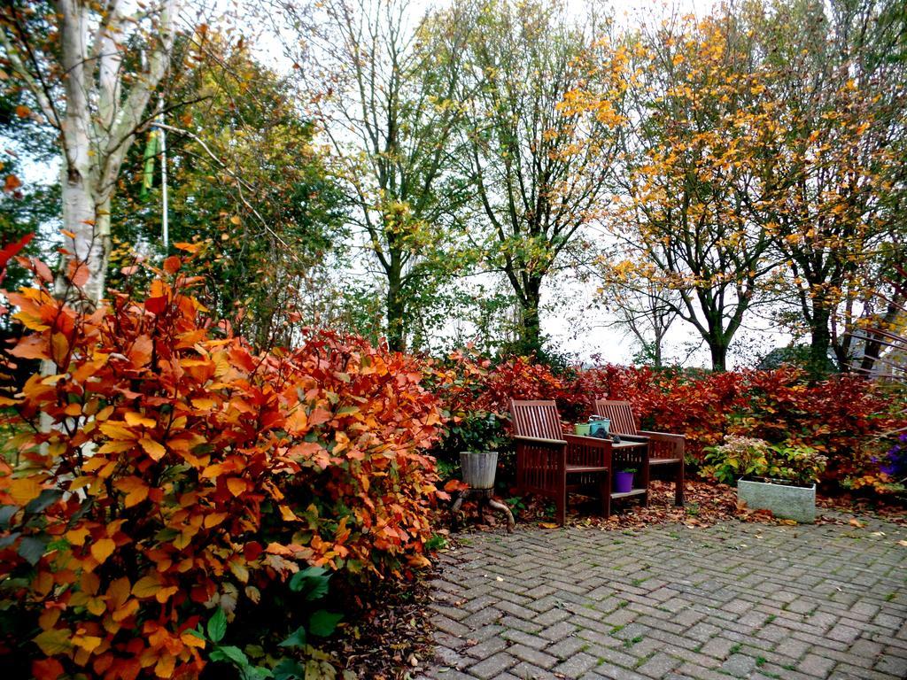 Bed En Breakfast De Pauw Wieringerwaard Eksteriør billede