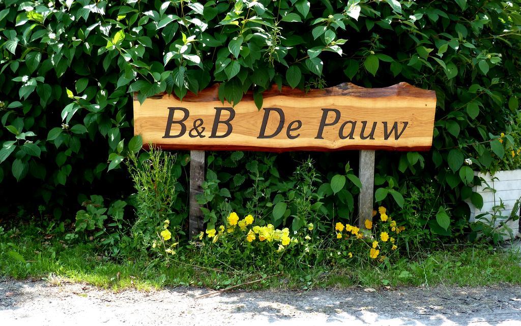 Bed En Breakfast De Pauw Wieringerwaard Værelse billede