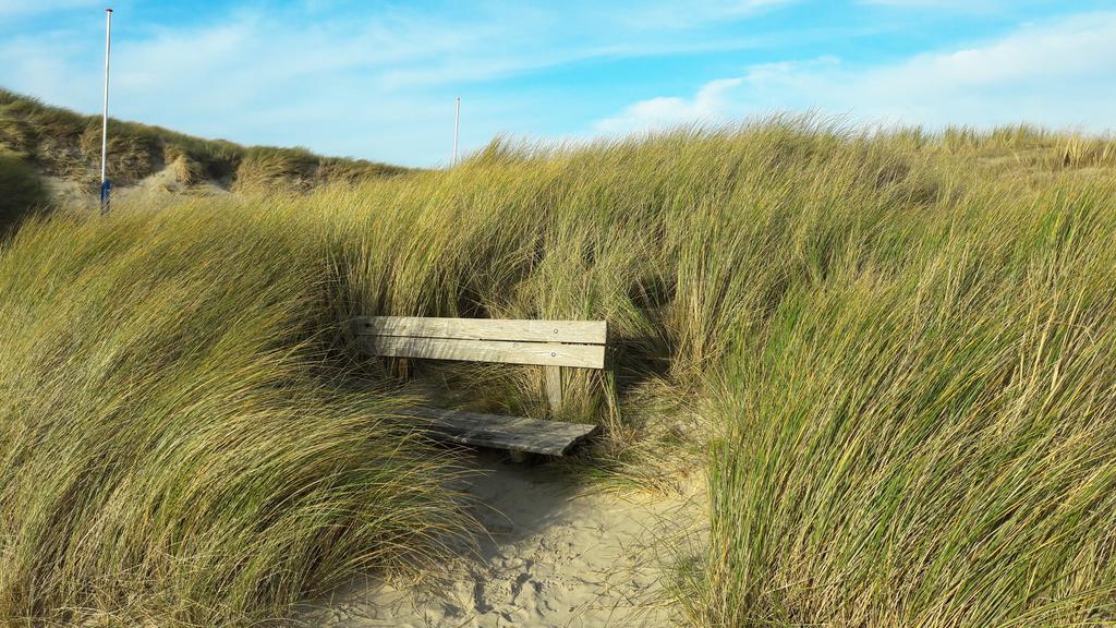 Bed En Breakfast De Pauw Wieringerwaard Eksteriør billede