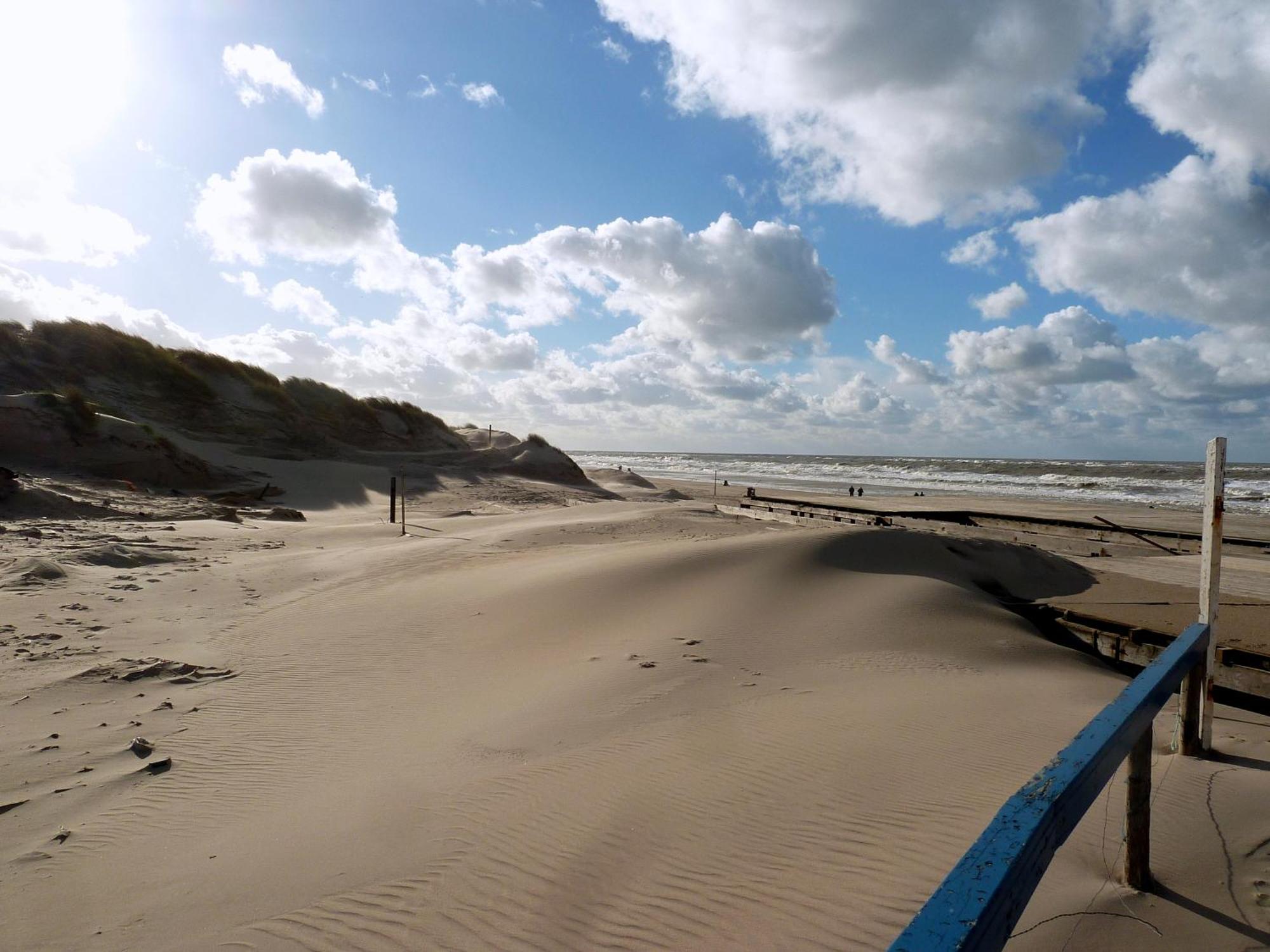 Bed En Breakfast De Pauw Wieringerwaard Eksteriør billede