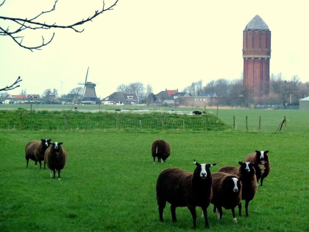Bed En Breakfast De Pauw Wieringerwaard Værelse billede